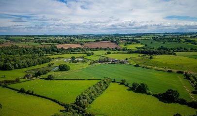 WhatsApp Image 2026-01-19 at 8.00.52 PM